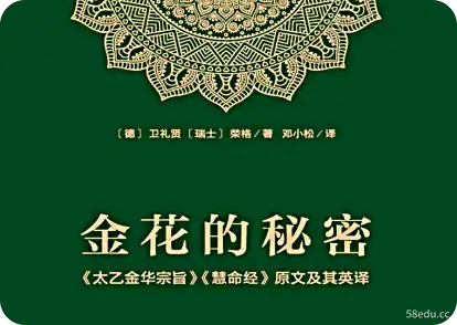 金花的秘密pdf