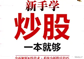 新手学股票一本书就够了pdf