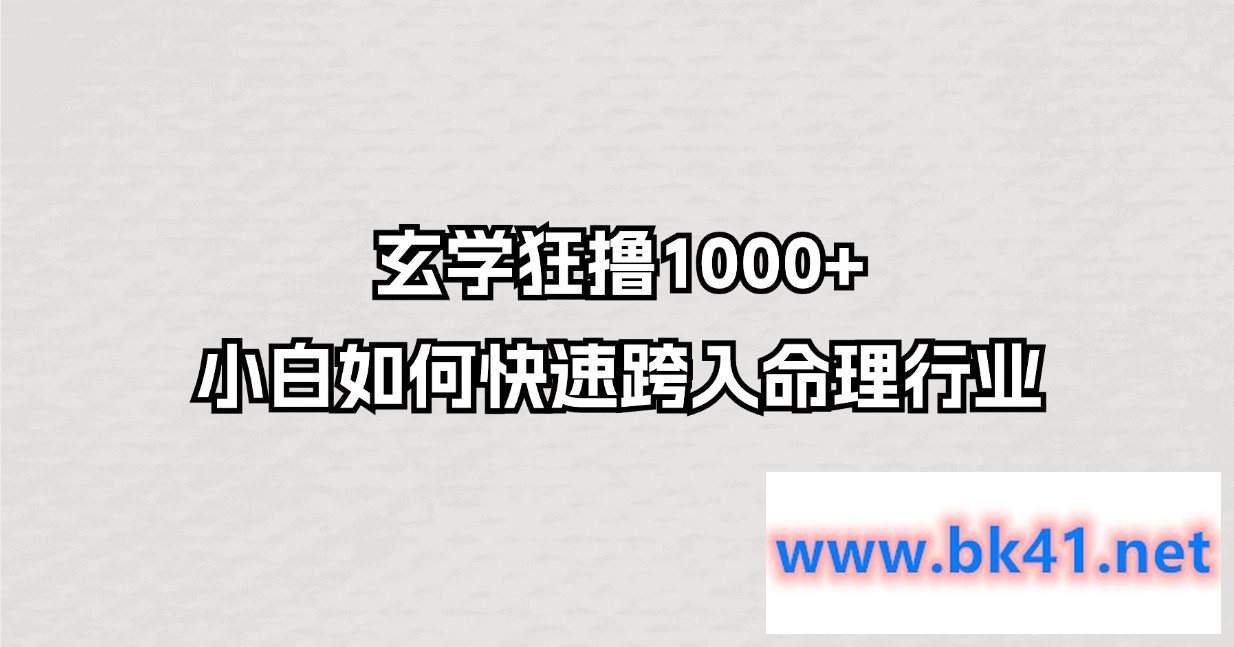 玄学狂撸1000+，小白如何快速跨入命理行业-不可思议资源网