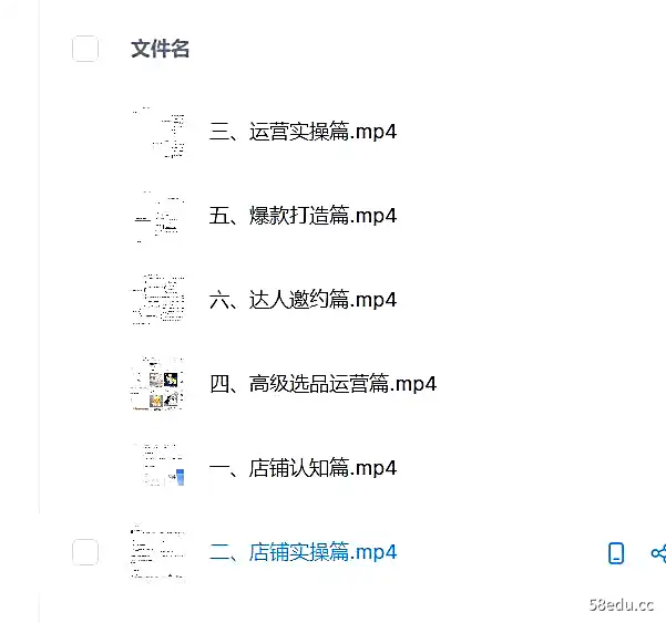 长风老师·抖音小店精细化全套运营操盘系统课，价值3980元-不可思议资源网