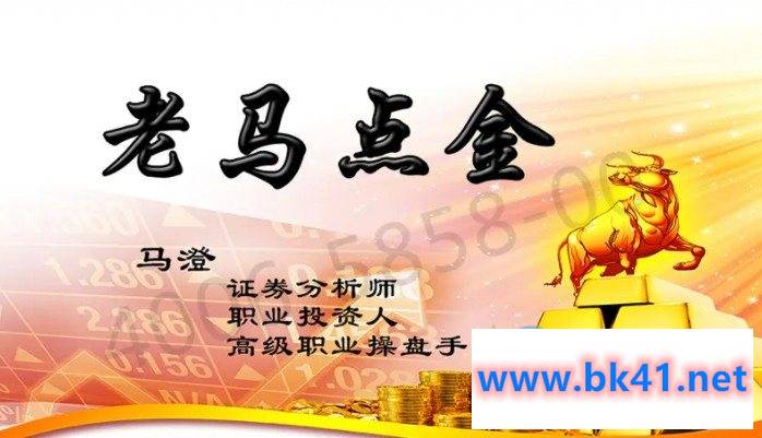 老马点金《期货入门与实战操盘技巧》-不可思议资源网