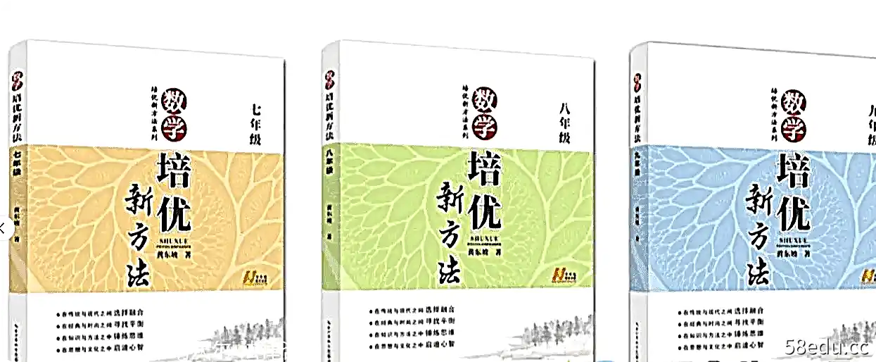 黄东坡《培优新方法》6大专题模块课程（视频+电子书）-不可思议资源网