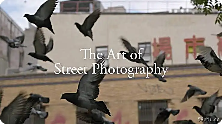 The Art of Street Photography-不可思议资源网