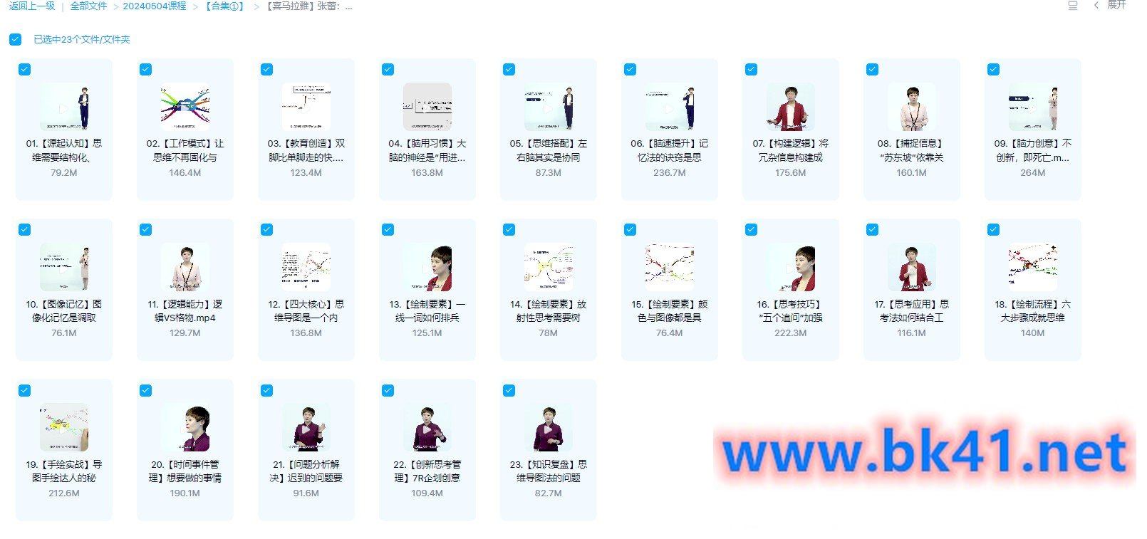 张蕾：23堂思维导图课-不可思议资源网