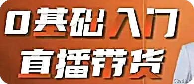 罗永浩交友电商：0基础介绍直播带货-第一张图-小斌