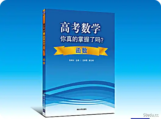 高考数学你真的掌握了吗函数电子版pdf免费版